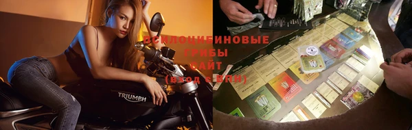 apvp Горняк