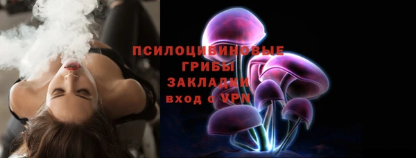 apvp Горняк