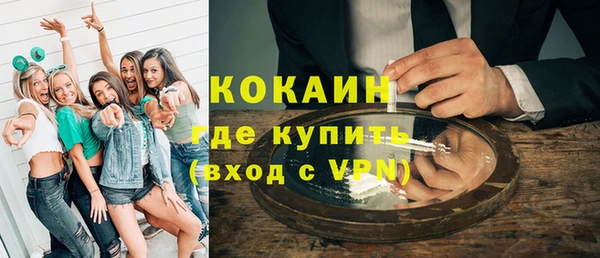 apvp Горняк