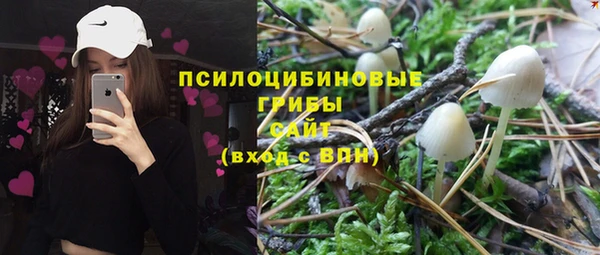 apvp Горняк