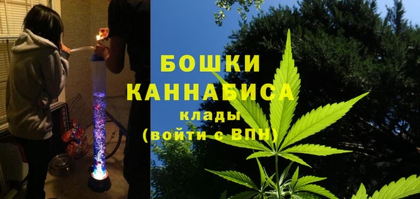индика Домодедово