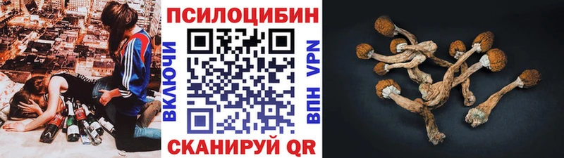 Галлюциногенные грибы MAGIC MUSHROOMS  Купить где  Новоуральск 